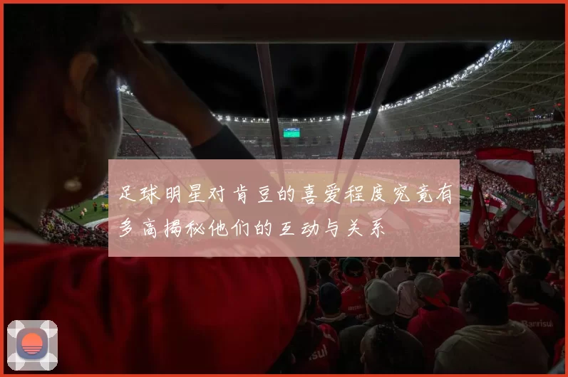 足球明星对肯豆的喜爱程度究竟有多高揭秘他们的互动与关系