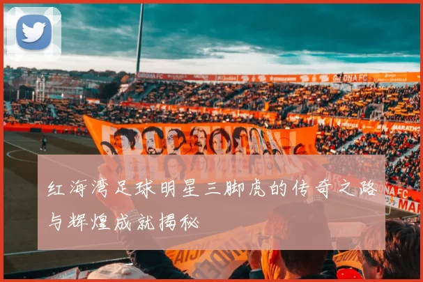 红海湾足球明星三脚虎的传奇之路与辉煌成就揭秘