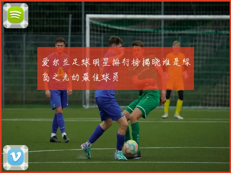 爱尔兰足球明星排行榜揭晓谁是绿岛之光的最佳球员