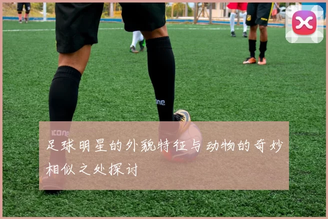 足球明星的外貌特征与动物的奇妙相似之处探讨