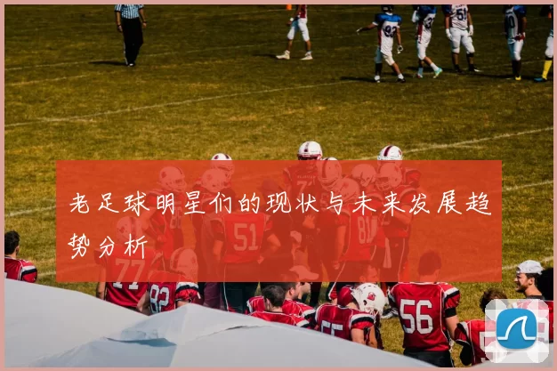 老足球明星们的现状与未来发展趋势分析