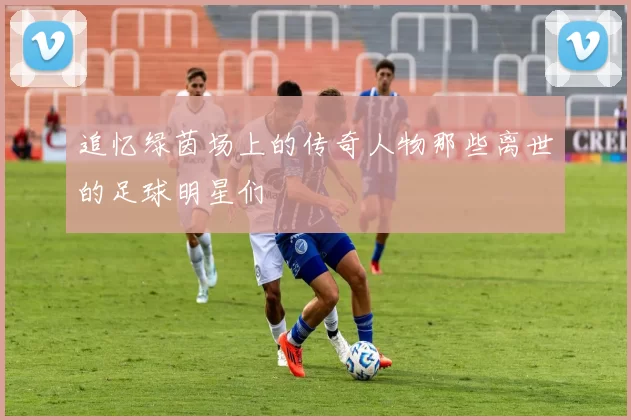 追忆绿茵场上的传奇人物那些离世的足球明星们