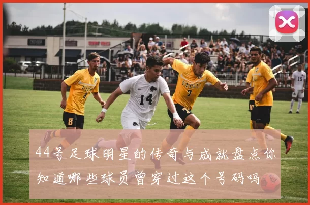 44号足球明星的传奇与成就盘点你知道哪些球员曾穿过这个号码吗