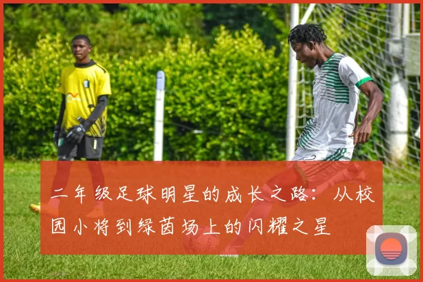 二年级足球明星的成长之路：从校园小将到绿茵场上的闪耀之星