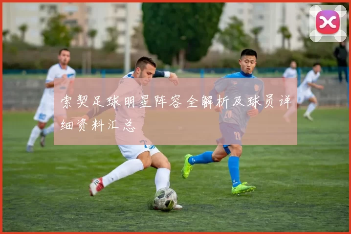 索契足球明星阵容全解析及球员详细资料汇总