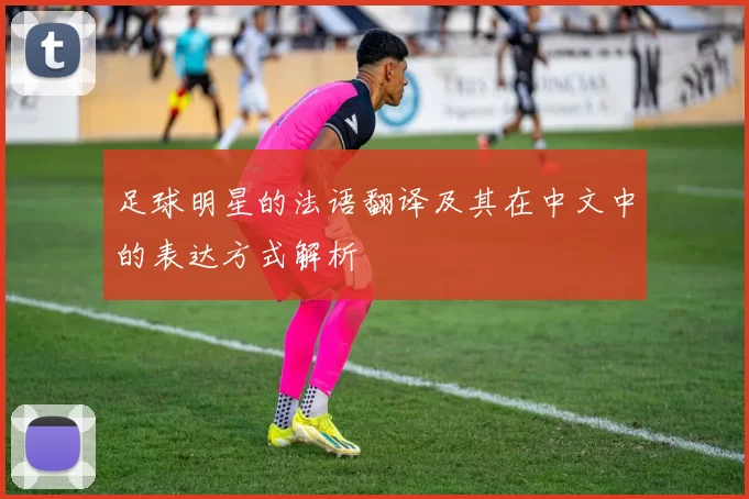 足球明星的法语翻译及其在中文中的表达方式解析