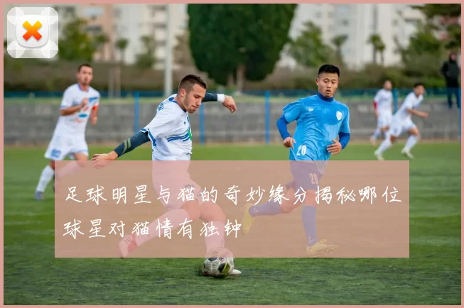 足球明星与猫的奇妙缘分揭秘哪位球星对猫情有独钟