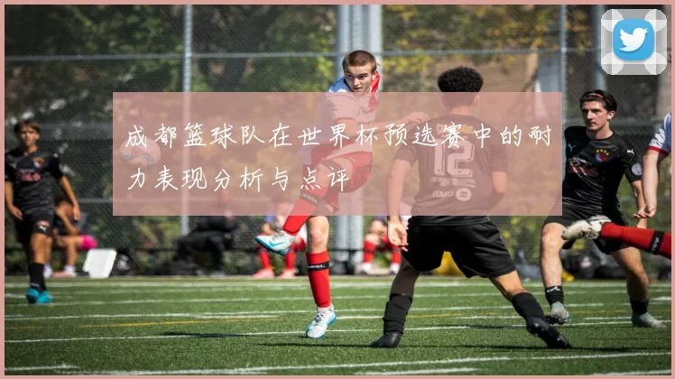 成都篮球队在世界杯预选赛中的耐力表现分析与点评