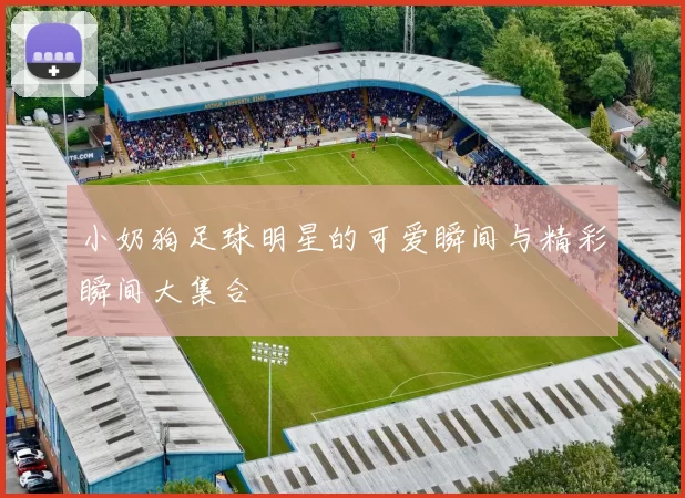 小奶狗足球明星的可爱瞬间与精彩瞬间大集合