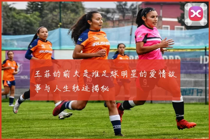 王菲的前夫是谁足球明星的爱情故事与人生轨迹揭秘