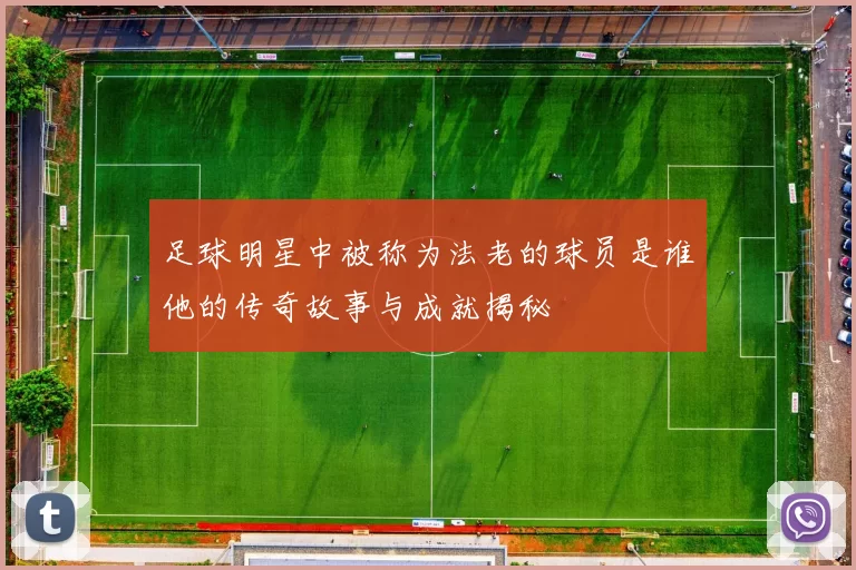 足球明星中被称为法老的球员是谁他的传奇故事与成就揭秘