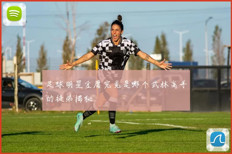 足球明星金庸究竟是哪个武林高手的徒弟揭秘