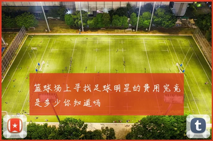篮球场上寻找足球明星的费用究竟是多少你知道吗